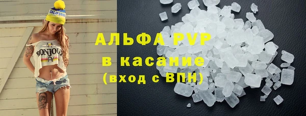 ECSTASY Богородицк