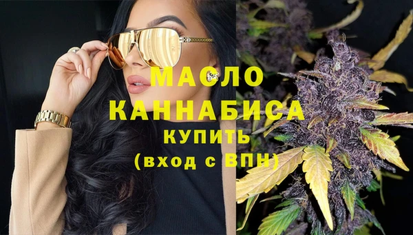 молекула духа Богданович