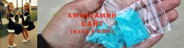 молекула духа Богданович