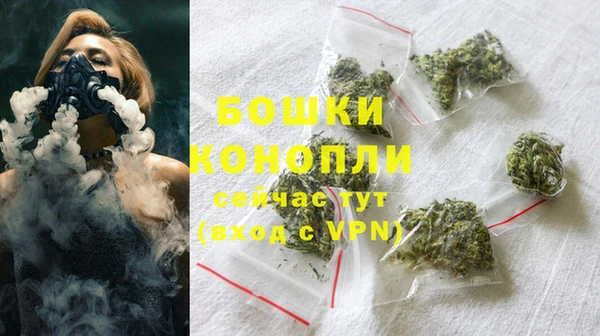 молекула духа Богданович