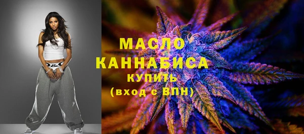 молекула духа Богданович