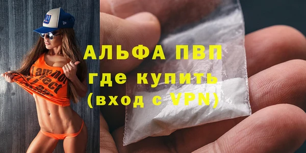 ECSTASY Богородицк