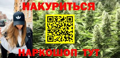 эйфоретик Тара