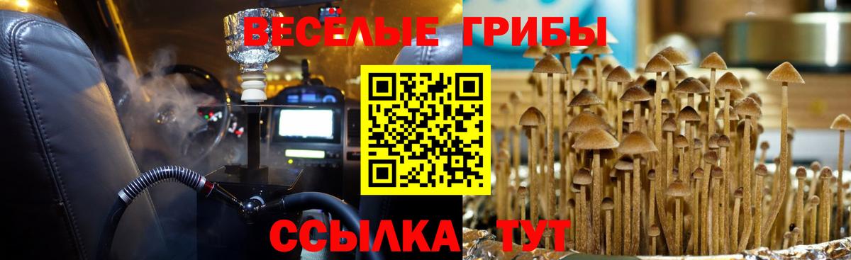 Галлюциногенные грибы мицелий  Галлюциногенные грибы ЛСД  Пятигорск  Вход с VPN 